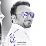 پیام صالحی بر می گردم