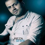 دانلود آهنگ رضا شیری نمی فهمه حالم بده