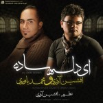 افشین آذری و محمد یاوری ای دل ساده