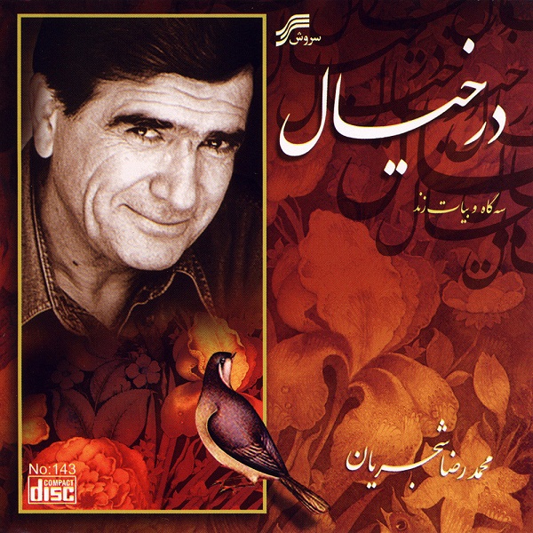 محمدرضا شجریان در خیال