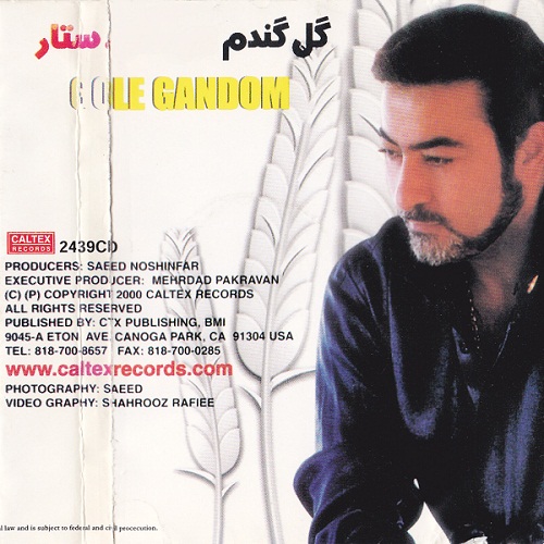ستار گل گندم