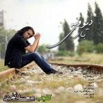 محسن یاحقی دیوونه بازی