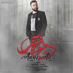 امیر علی جنون آنی