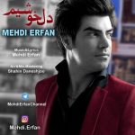 مهدی عرفان دلخوشیم