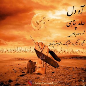 حامد پناهی آه دل