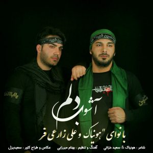 هونیاک آشوب دلم