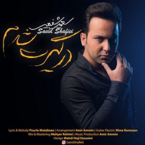 سعید شفیعی درگیرت شدم