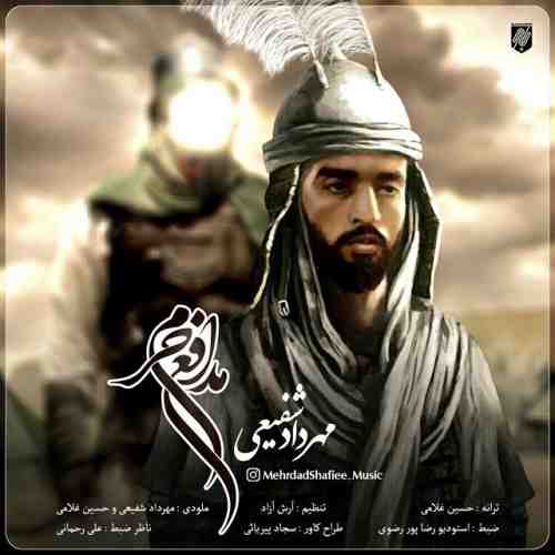 مهرداد شفیعی مدافع حرم