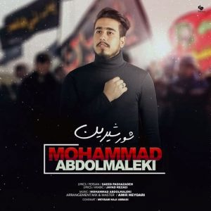 محمد عبدالمالکی شور شیرین