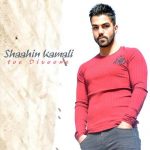 شاهین کمالی توئه دیوونه