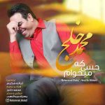 محمد خلج حسی که میخوام