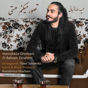 بهرام ابراهیمی تصور می‌کنم هستی