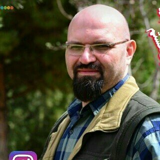 محمد حشمتی