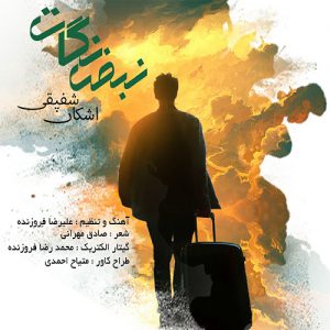 اشکان شفیقی نبض نگات