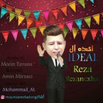 رضا رضانژاد ایده آل