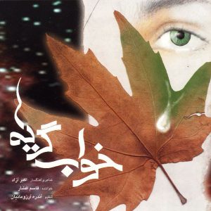 قاسم افشار خواب گریه ها