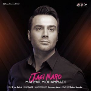 مهیار محمدی جایی نرو