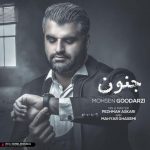 محسن گودرزی جنون
