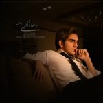 رضا ذاکری بدون من