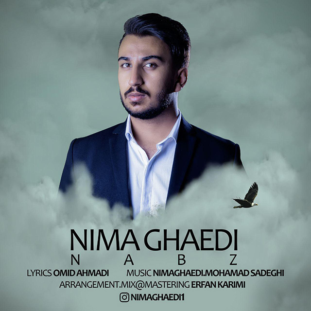 نیما قائدی نبض