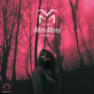 پادکست مرمری 36 دی جی امین