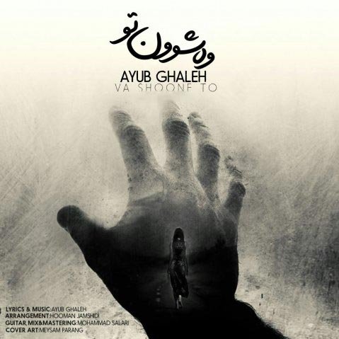ایوب قلعه وه شوون تو
