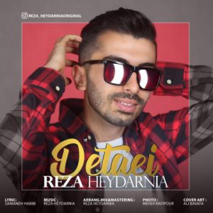 رضا حیدرنیا دتایی