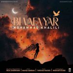 محمد خلیلی بی وفا یار