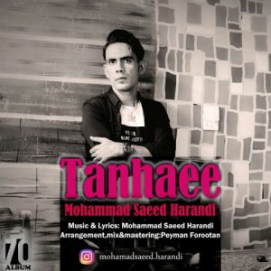 محمدسعید هرندی تنهایی