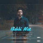 محمد مهدی نریمانی هیشکی نیست