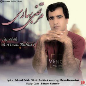 مرتضی بهاری تجربه