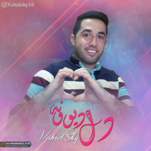 وحید اسکای دل دیوونه
