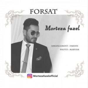 مرتضی فاضل فرصت