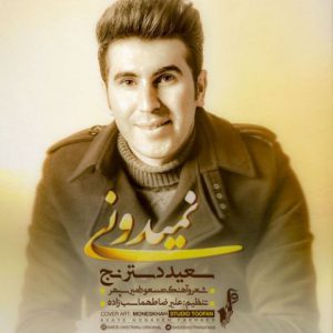 سعید دسترنج نمیدونی