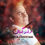 رضا لرستانی دله گیان