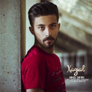 وحید صفری خیال