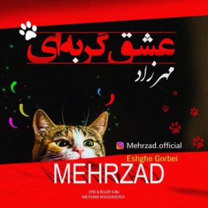 مهرزاد عشق گربه ای