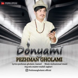 پژمان غلامی دنیامی