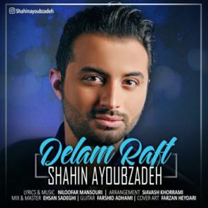 شاهین ایوب زاده دلم رفت