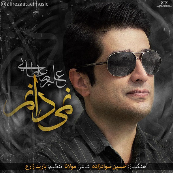 علیرضا عطایی نمی دانم