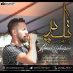 علیرضا رحیم پور تک پر
