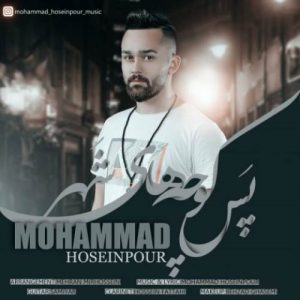 محمد حسین پور پس کوچه های شهر