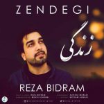 رضا بیدرام زندگی