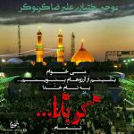 علیرضا کرنوکر کربلا
