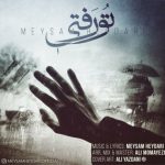 میثم حیدری تو رفتی