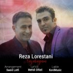 رضا لرستانی نازارگم