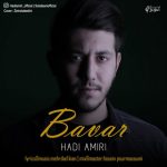 هادی امیری باور