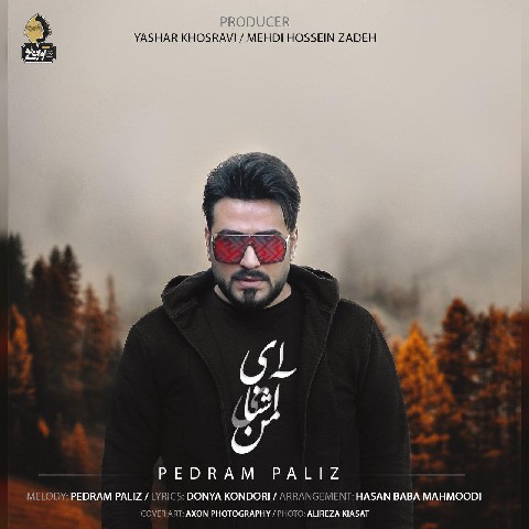 پدرام پالیز ای آشنای من