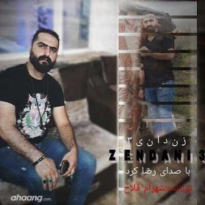رضا کرد زندانی 3