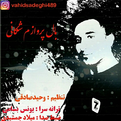 وحید صادقی بال پروازم شکانی